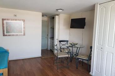 Pedro De Valdivia Apartment Providencia