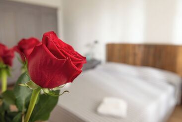 فندق ريفى Agriturismo Campo All Olmo