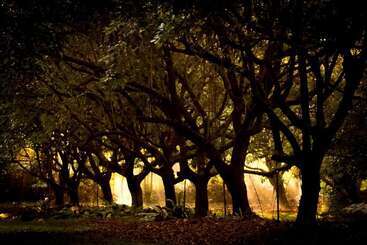 צימר Cape Trib Farm