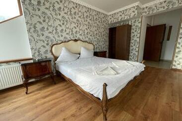 פנסיון Ambasador