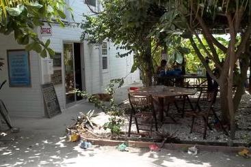Pedro S Inn Backpackers Hostel