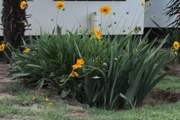 Absolute Leisure Cottages