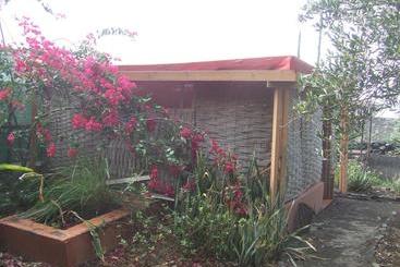Tortuga B&b