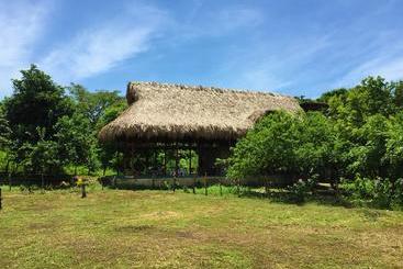 تختخواب و صبحانه Casa Juana Palomino