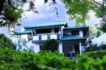هتل Blue Mountain Resort