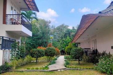 בית מלון כפרי New Ayuda 2