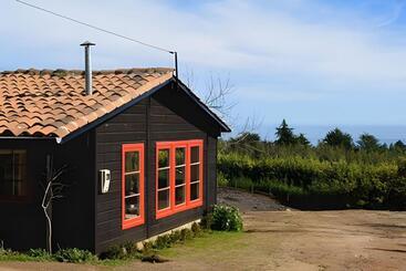 Курорт Cabaña En El Campo En La Costa De Pelluhue