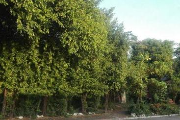 Backpackers And Travellers Hostel