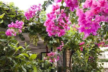 تختخواب و صبحانه Casa Soleluna