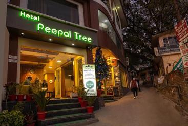 هتل Peepal Tree