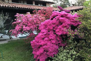 تختخواب و صبحانه Il Giardino Dei Sogni