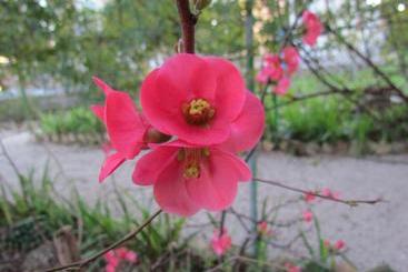 Villa Maria Bed & Breakfast, Corridonia, Marche