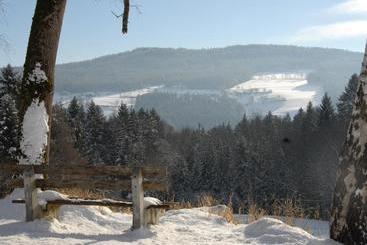 هتل Gasthof Paunger