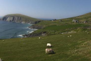تختخواب و صبحانه The Dingle Pub Rooms