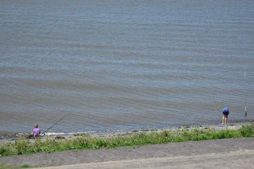 Bed And Breakfast De Zeehoeve