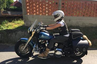 پانسیون Pansion Vila Vanda Vukovar