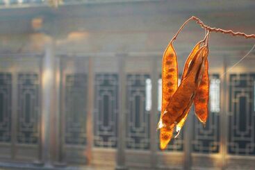 Yijie Holiday Hotel Taierzhuang Old Town