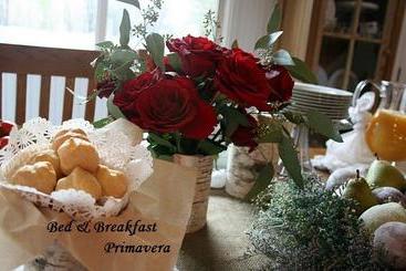 تختخواب و صبحانه Recanto Da Primavera