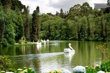 تختخواب و صبحانه Recanto Da Primavera