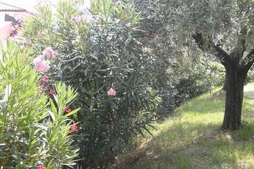 B&b Agli Ulivi