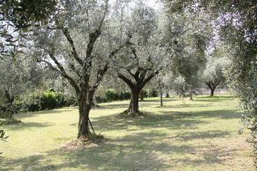 B&b Agli Ulivi