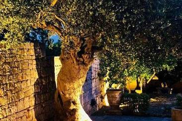 تختخواب و صبحانه Casa D'autore