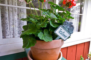 Volcano Teapot Cottage