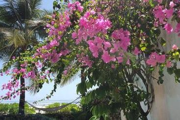 تختخواب و صبحانه Villa Kipara Beach
