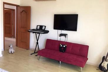 تختخواب و صبحانه Che S House