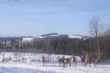 ホテル Schätzlhof Ohg