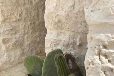 استراحتگاه Borgo D'itria