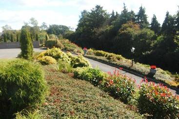 Blarney Vale B&b