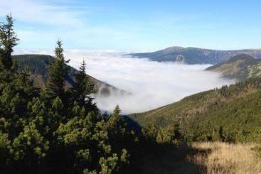 פנסיון Penzion Lesní Pramen