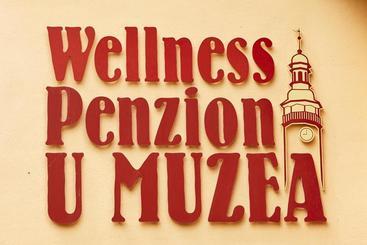 پانسیون Wellness Penzion U Muzea
