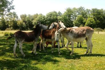 Pensión Molinos De Antero