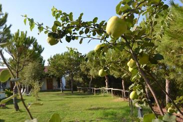 پانسیون Casa De Campo Vale Do Asno
