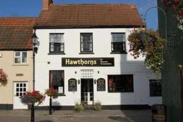هاستل Hawthorns
