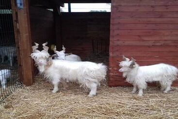 فندق Agriturismo Specchiarussa