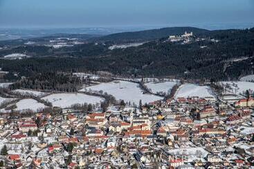 پانسیون Penzion U Lebedů