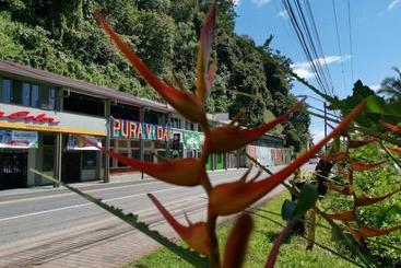 هتل Pura Vida Backpackers Golfito