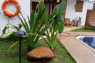 تختخواب و صبحانه Venus Villa