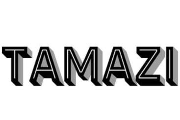 پانسیون Tamazi