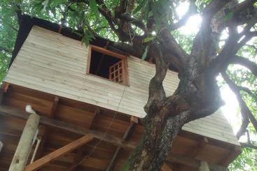 تختخواب و صبحانه Casa Na árvore