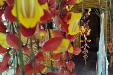 هاستل Hostal El Eden De Mindo