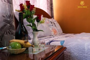Пансион Hostal Spring Ii