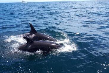 膳宿费 Shiretokoserai