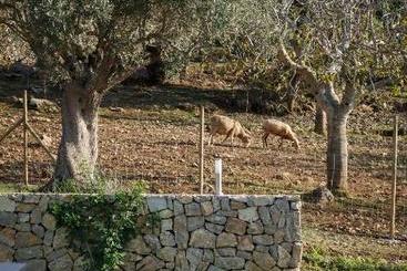 هتل Agroturismo S Arboçar
