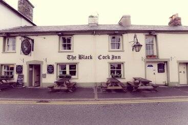 فندق صغير The Black Cock Inn
