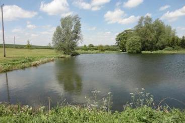 تختخواب و صبحانه Newton Park Farm