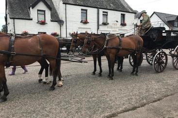 هاستل The Horseshoe Inn